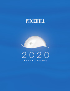 2020 - BDILAnnual2020